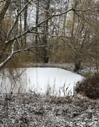 ������ 2 ����������� ������� � ������� � ������� �� 40 ����� ���� 14