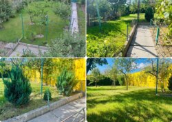 ������ 1 ����������� ��������� ���� 12