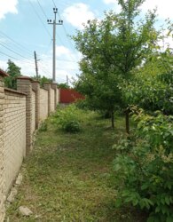 ����, ���, ����, �������., ����� - ���������� ���� 10