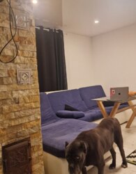 ������ 2 ����������� ������� � ������� �� 4 �����, 100 ��. �, 3 ������, �� ����. ��������� ���� 18