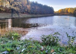 Продається будинок у Щітках фото 10 Продається будинок у Щітках фото 10