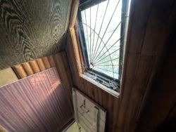 ���� ���� 12