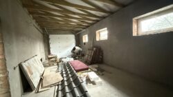 ������ ������� �� ���� ���� 14