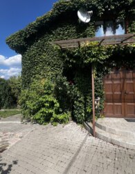 ��������� ������� � ��������� ���� 66