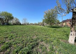 ��������� �������, �-� �����. ���� 44