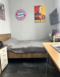 ������ ������� ������� ���� 15