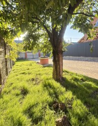 ������ 1 ����������� ������� � �������� � ������� �� 5 ����� ���� 8