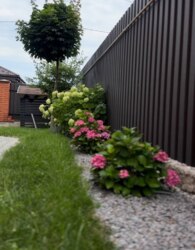 ������ 2 ����������� �������� � ������� �� 4.5 ����� ���� 28