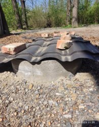 ������ 2 ����������� ��������� � ������� �� 1.5 ����� ���� 17