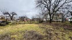 ��������� ������� ³�������, ³�����, �����������, �����, �������� ���� 5