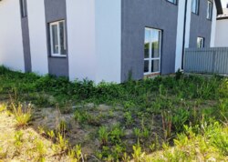 ������ 2 ����������� �������� � ������� �� 3 ����� ���� 18