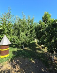 Продаж 3 поверхового будинку з опаленням і ділянкою на 2.5 сотки фото 33 Продаж 3 поверхового будинку з опаленням і ділянкою на 2.5 сотки фото 33