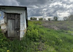 ������ ������� � ��� �������, �� 15 �� ���� �� ���� �� ���� ³����� ���� 11