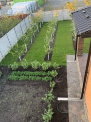 ��������� ������� ³�������, ³�����, �������������, ����������� �����, ���������� ���� ���� 23