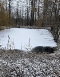 ������ 2 ����������� ������� � ������� � ������� �� 40 ����� ���� 15