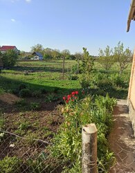 Продаж 1 поверхового будинку з ділянкою на 86 соток фото 13 Продаж 1 поверхового будинку з ділянкою на 86 соток фото 13