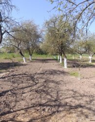 ������ 1 ����������� ������� � ������� � ������� �� 60 ����� ���� 8