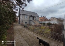 ��������� ������� �����, ³�����, ³�������, �����������, ����� ���� ���� 37