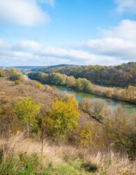 ������ 1 ����������� ������� � ������� �� 4 ����� ���� 44