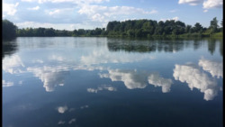 ��������� ��������� �������. ���� ������. ���� 8