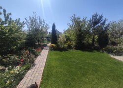 ������ 2 ����������� ������� � ������� �� 10 �����, 250 ��. �, 5 ����� ���� 44