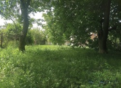 ��������� ������� ³�������, ³�����, �����������, �����, �������� ���� 11