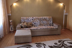 ��������� ������� ������ ���������, ³�����, ³�������, ����������, ����� ���� 4