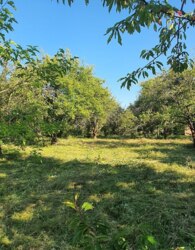 ��������� ������� �������� ��� �������, ³�����, ³�������, ���������, ����-����������� ���� 17