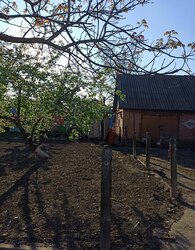 Продаж 1 поверхового будинку з ділянкою на 86 соток фото 23 Продаж 1 поверхового будинку з ділянкою на 86 соток фото 23