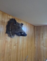 Продаж 3 поверхового будинку з опаленням і ділянкою на 2.5 сотки фото 40 Продаж 3 поверхового будинку з опаленням і ділянкою на 2.5 сотки фото 40