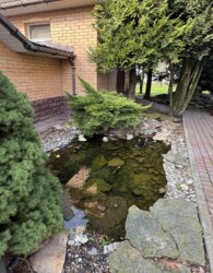 ������ 2 ����������� ������� � �������� � ������� �� 20 ����� ���� 13