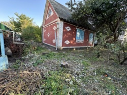 ���� ���� 7