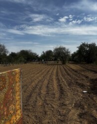 ��������� ������� � �������� ���� 12