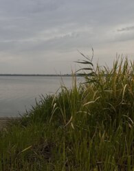 Затишний дачний будинок з виглядом на ліс 🌳 фото 5 Затишний дачний будинок з виглядом на ліс 🌳 фото 5