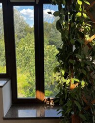 ��������� ������� � ��������� ���� 79