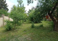 ����, ���, ����, �������., ����� - ���������� ���� 50