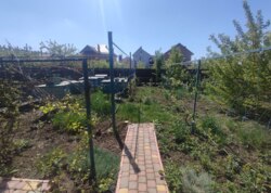 ������ 2 ����������� ������� � ������� �� 10 �����, 250 ��. �, 5 ����� ���� 2