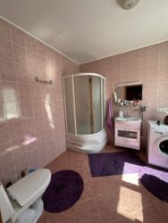 3� ��������� ��� ��������� ���� 12