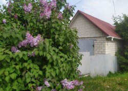 Продаж 1 поверхового будинку з верандою і ділянкою на 10 соток, 156 кв. м, 4 кімнати, на вул. Євгена Чикаленка фото 5 Продаж 1 поверхового будинку з верандою і ділянкою на 10 соток, 156 кв. м, 4 кімнати, на вул. Євгена Чикаленка фото 5