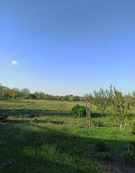 Продаж 1 поверхового будинку з ділянкою на 86 соток фото 20 Продаж 1 поверхового будинку з ділянкою на 86 соток фото 20