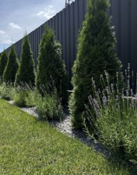 Продаж 2 поверхового дуплекса з ділянкою на 3.7 сотки фото 3 Продаж 2 поверхового дуплекса з ділянкою на 3.7 сотки фото 3