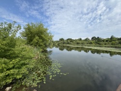 будинок біля лісу і річки фото 14 будинок біля лісу і річки фото 14