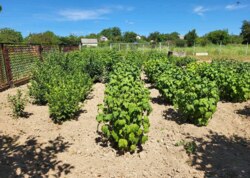 ������ 2 ����������� ������� ������ � ������� �� 10 ����� ���� 14