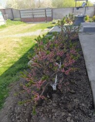 ������ 1 ����������� ������� � ������� � ������� �� 60 ����� ���� 2