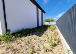 ������ 2 ����������� �������� � ������� �� 3 ����� ���� 39