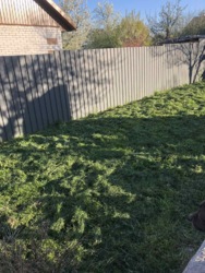 ������ 2 ����������� ������� � ������� �� 4 �����, 100 ��. �, 3 ������, �� ����. ��������� ���� 31