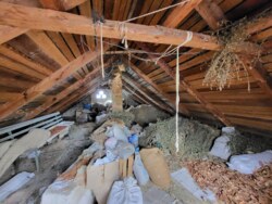 Продається будинок Перемоги, Жмеринка, Жмеринський, Вінницька фото 41 Продається будинок Перемоги, Жмеринка, Жмеринський, Вінницька фото 41