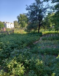  1         9 , 68 . , 3 ,  .   14