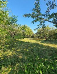 ��������� ������� �������� ��� �������, ³�����, ³�������, ���������, ����-����������� ���� 16