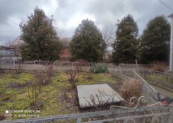 ��������� ������� �����, ³�����, ³�������, �����������, ����� ���� ���� 35